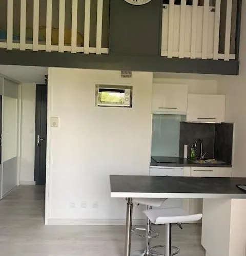 Apartman Cosy T1 Avec Mezzanine, A 7' A Pied De La Et Du Centre, Wifi, Clim, Parking Prive, Piscines