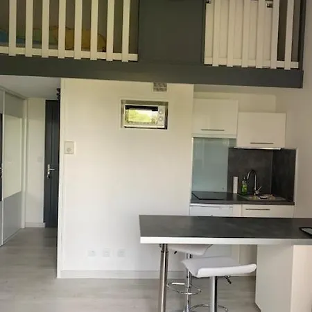 Apartment Cosy T1 Avec Mezzanine, A 7' A Pied De La Et Du Centre, Wifi, Clim, Parking Prive, Piscines